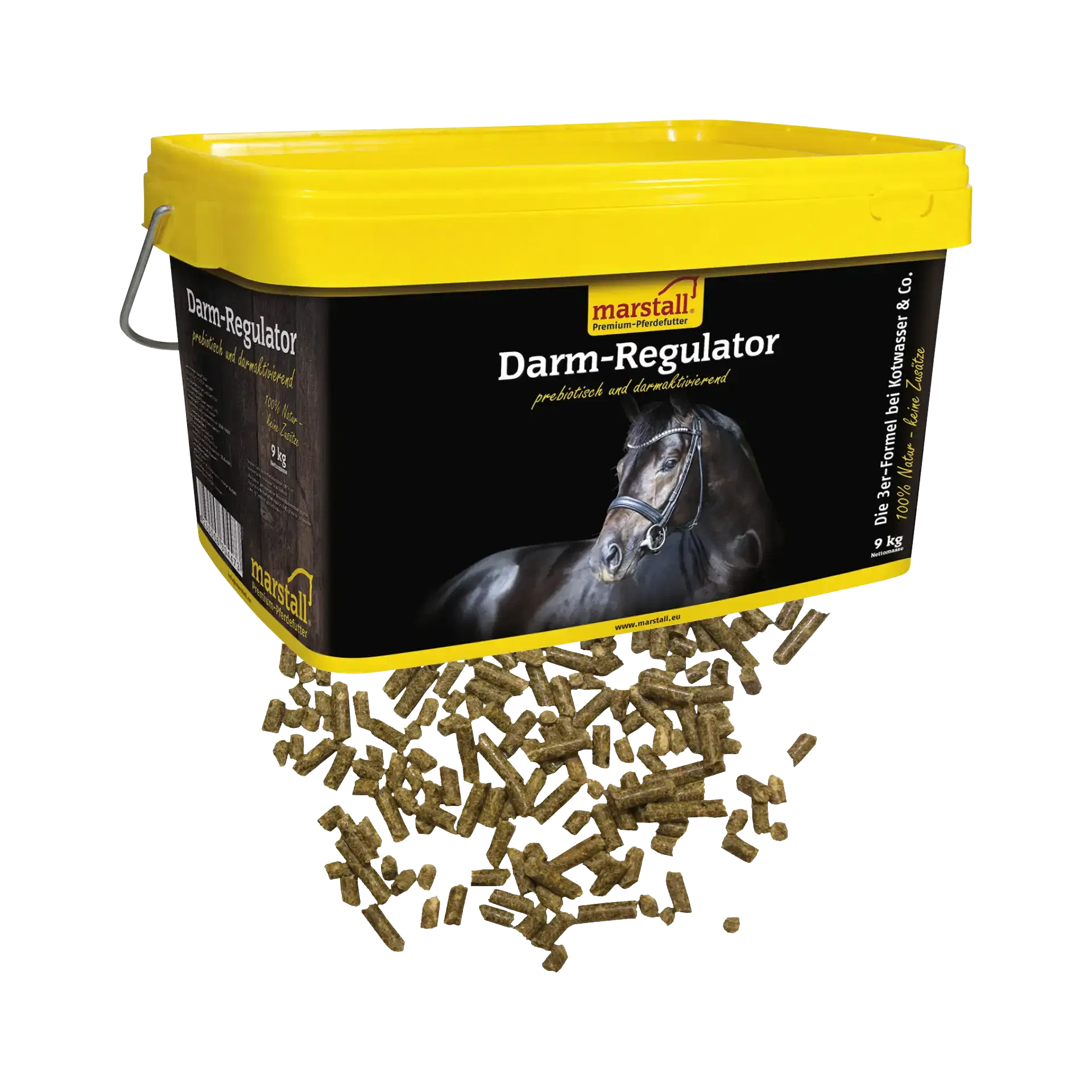 Darm-Regulator Stabilisiert den Darm bei Kotwasserproblemen